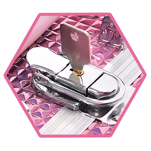 train case